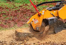 How Our Tree Care Process Works  in  Ivanhoe, CA